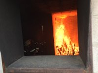 IMG 1600