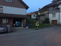 IMG 2473