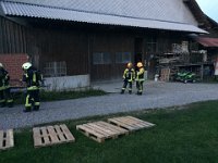 IMG 2490