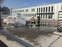 IMG 3033