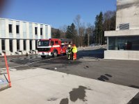 IMG 3034