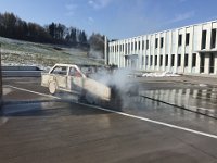 IMG 3037