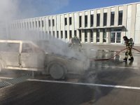 IMG 3067