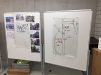 IMG 4551