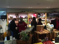 IMG 4379