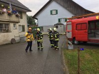 IMG 3853