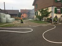 IMG 3863