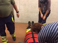 IMG 3347