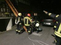 IMG 4768