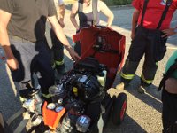 IMG 4123