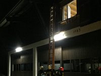 IMG 5250