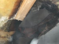 Foto 09.03.21, 21 37 42